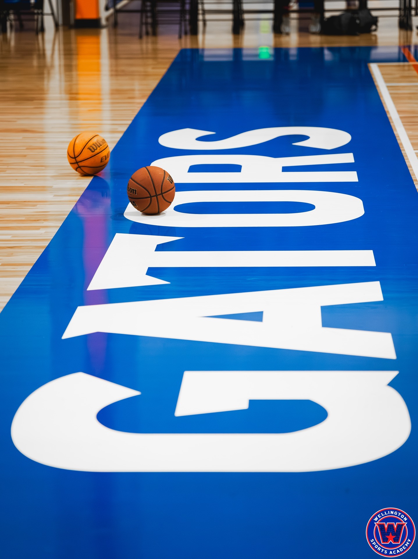 Low-angle shot of two basketballs resting on the blue "GATORS" court logo