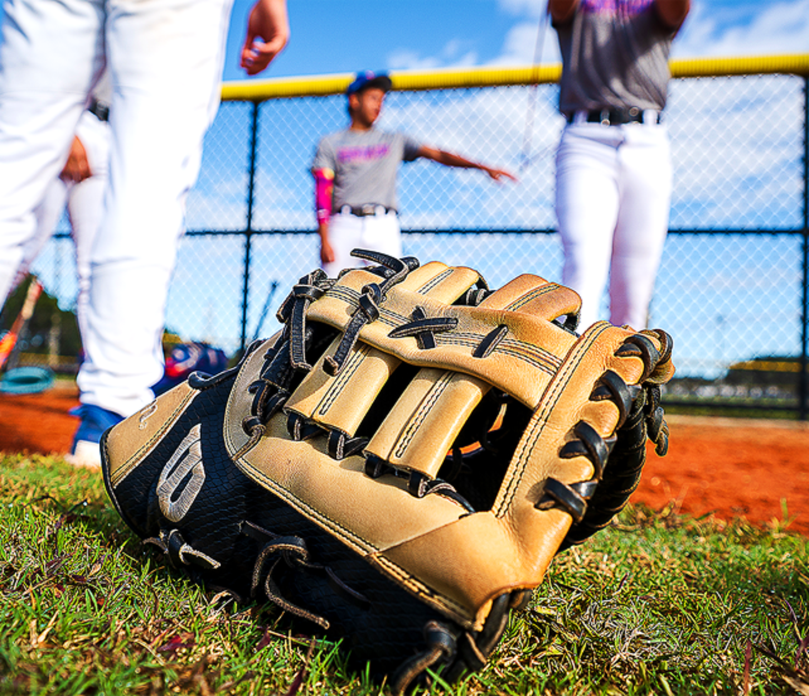 Baseball – Wellington Sports Academy