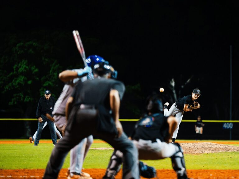 WSA Baseball Overview