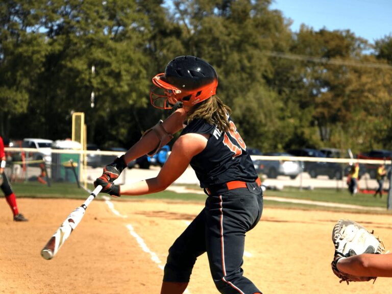 Wsa Softball Hitter4